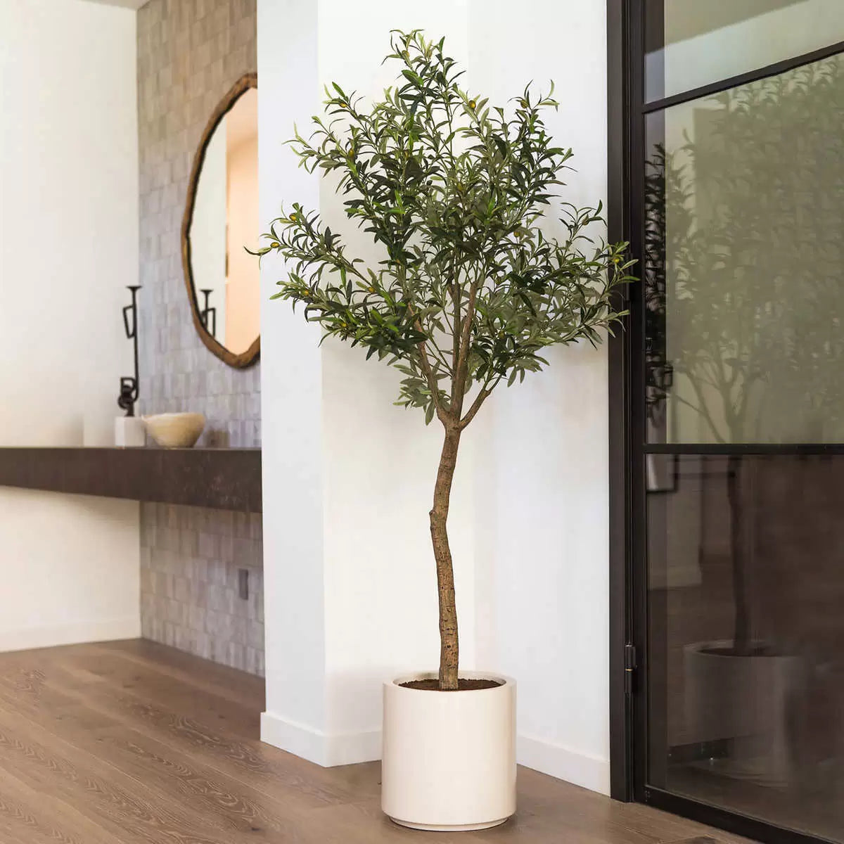 Olive Tree