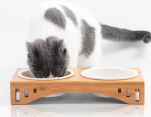 Bamboo Wood Arch Design Pet Bowl