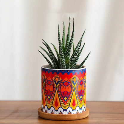 High-End Houseplant