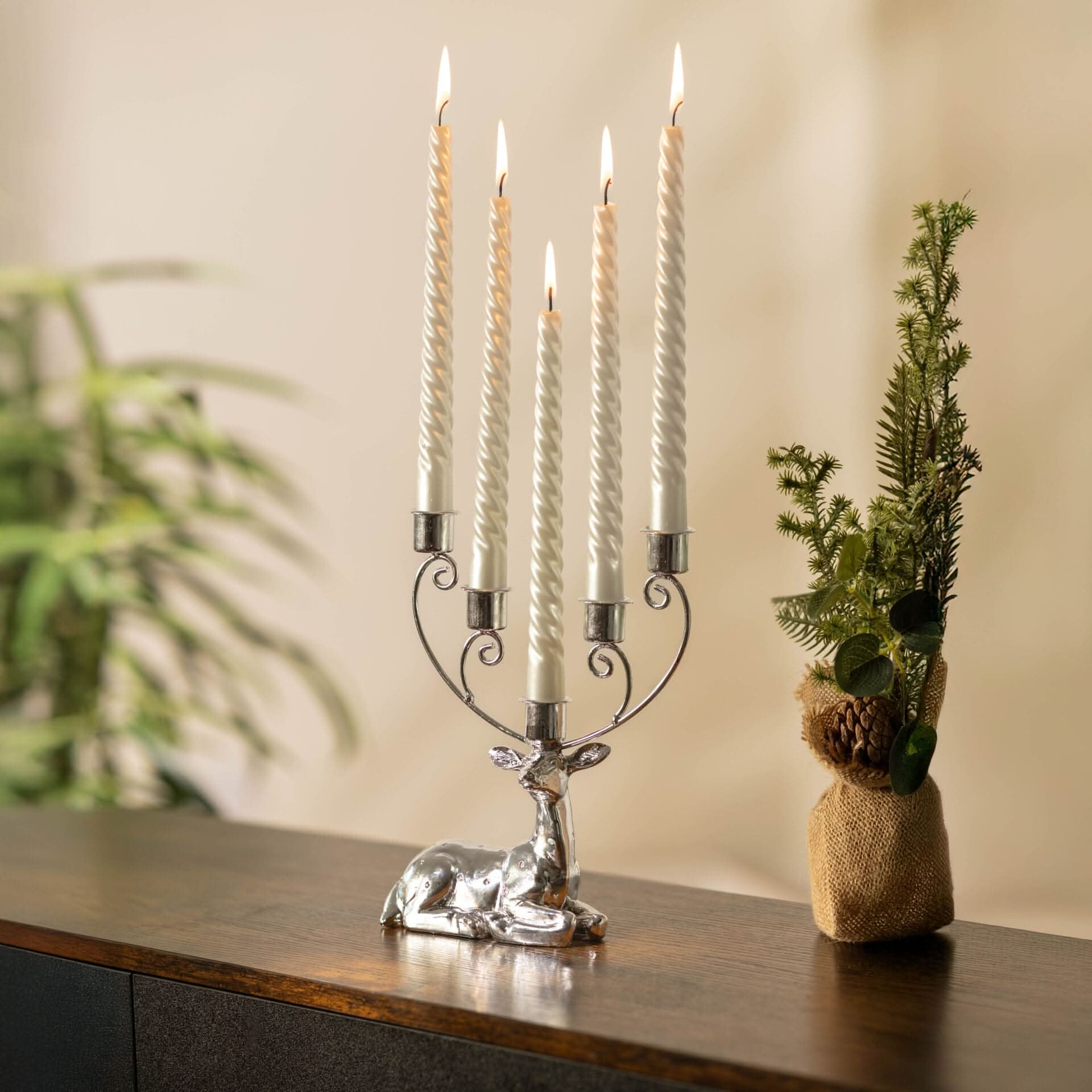 Decorative candle holder with lit candles on a wooden surface, next to a small plant.