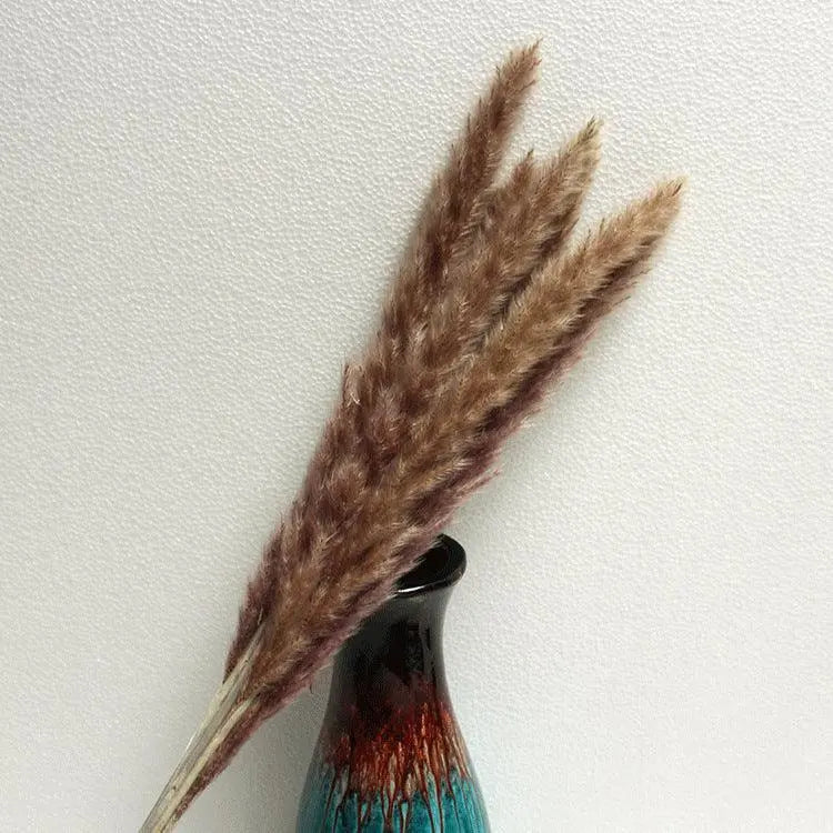 Natural Air-Dried Decorative Flowers. - Londecor